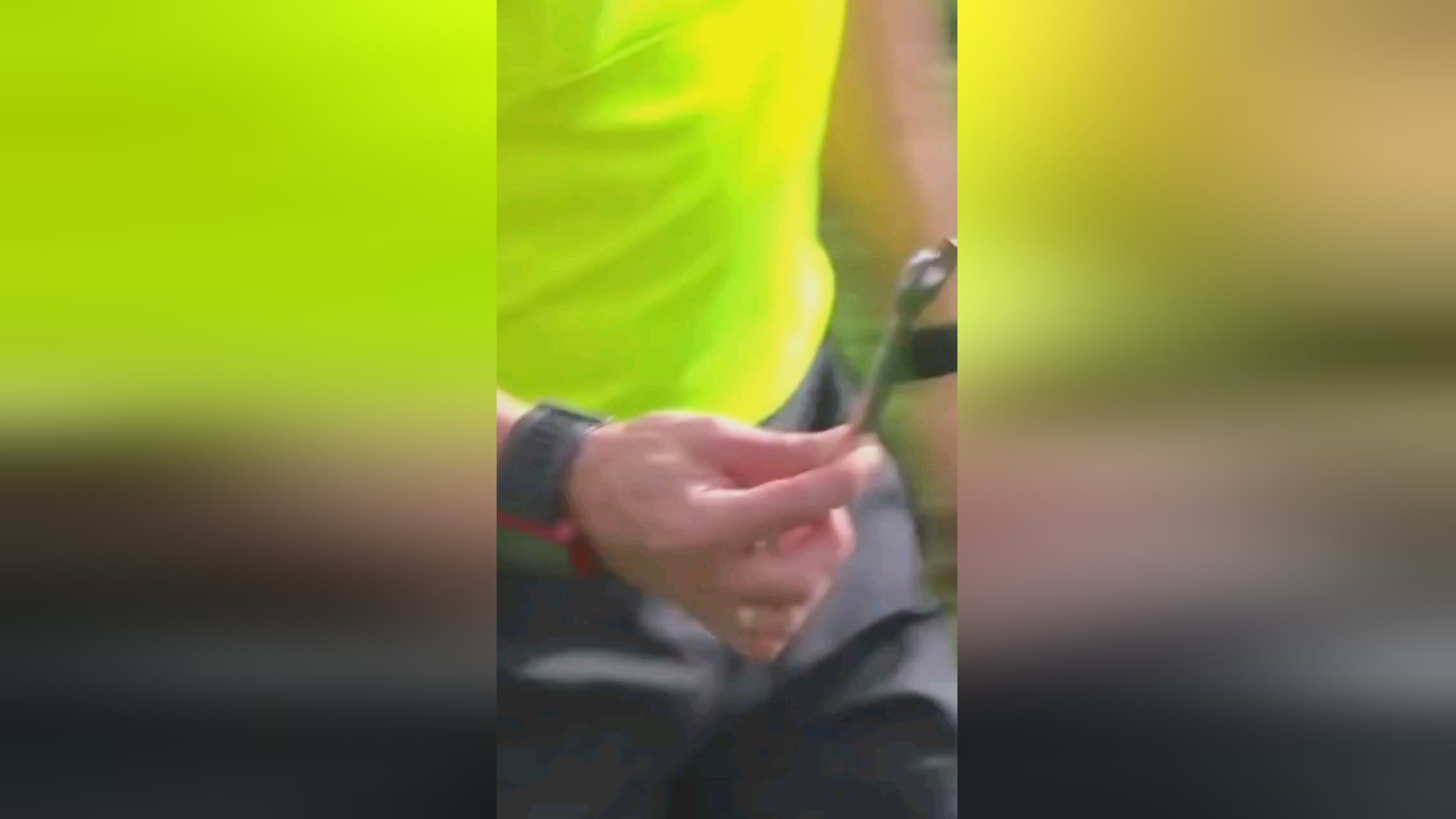 据拜仁医
